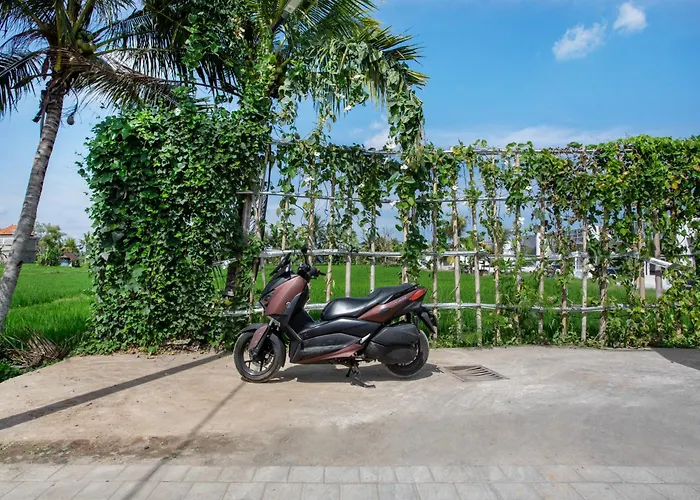 Flow Complex * Ubud