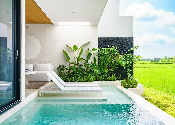 Flow Complex Villa